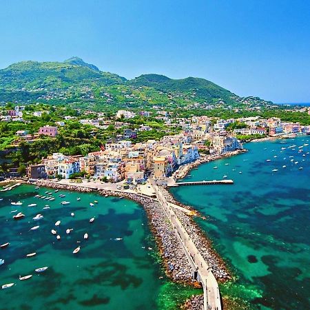 Villa To Ischia With Love Екстер'єр фото